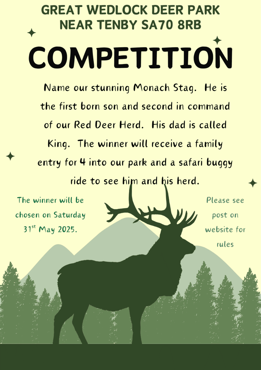 Competition