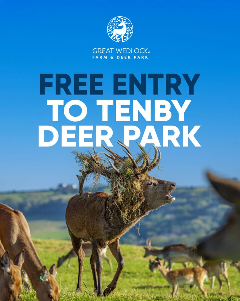 free entry poster deer park