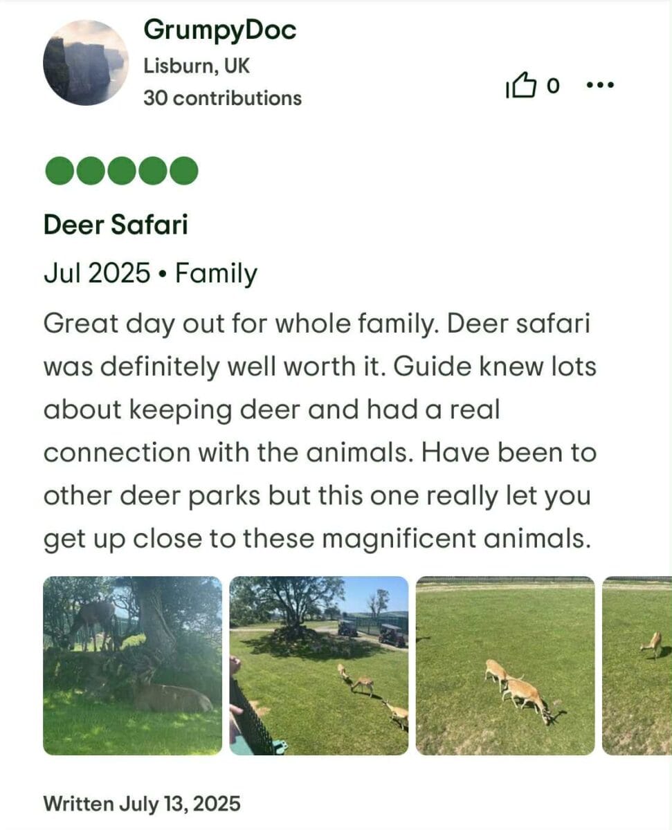 trip advisor 2